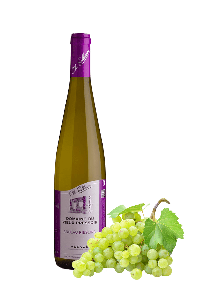 Riesling-Andlau-compo